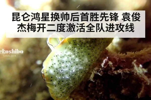 昆仑鸿星换帅后首胜先锋 袁俊杰梅开二度激活全队进攻线